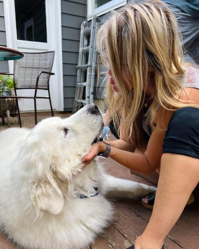 CMR mind 9 Grid v1.1 04 at TwoTone Creative