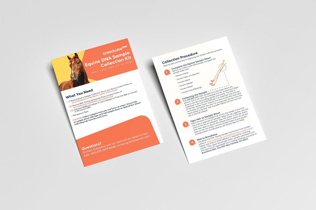 HorseDIYDNAKit v1.0 mockup at TwoTone Creative