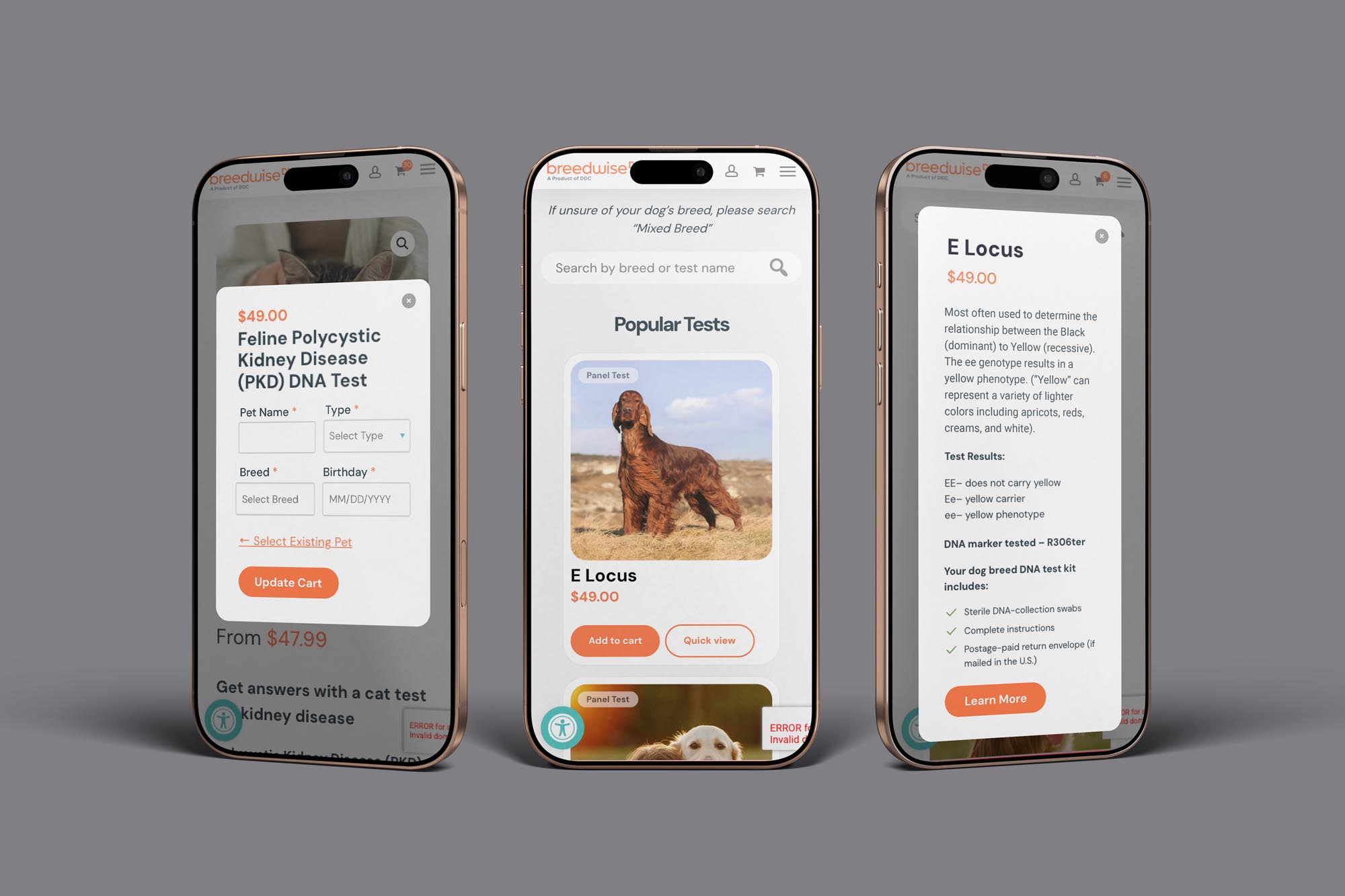 ddc iphone mockup at TwoTone Creative
