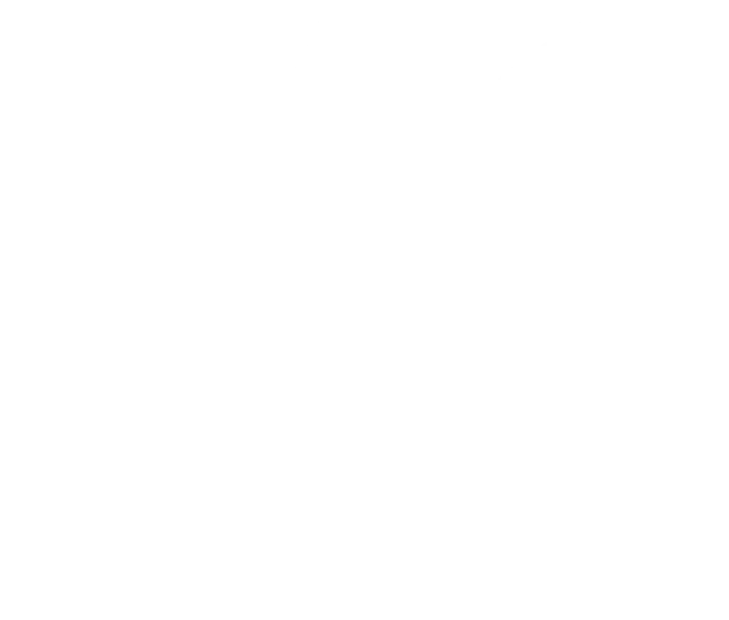 nancy ray logo white our work at TwoTone Creative