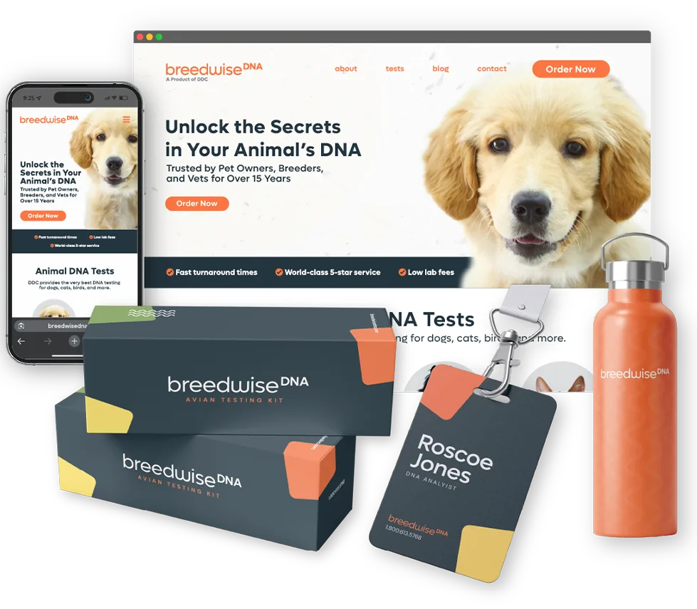 Breedwise DNA product mockups and branding design by TwoTone Creative