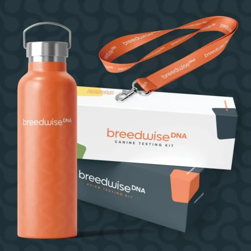 BreedwiseDNA branding collateral: water bottle, lanyard, and canine DNA testing kit.