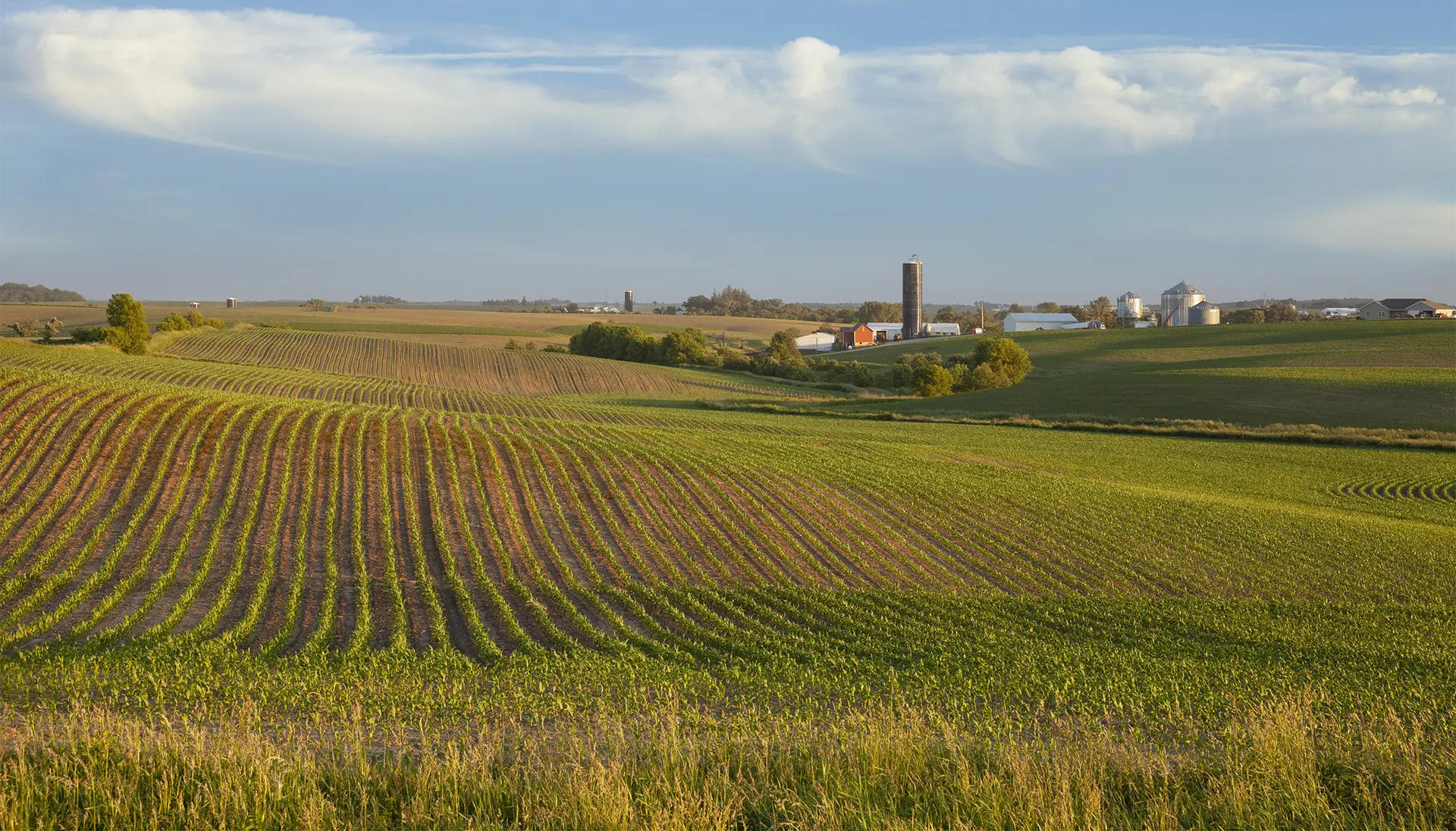 Iowa landscape with farmland and silos representing local Iowa businesses.